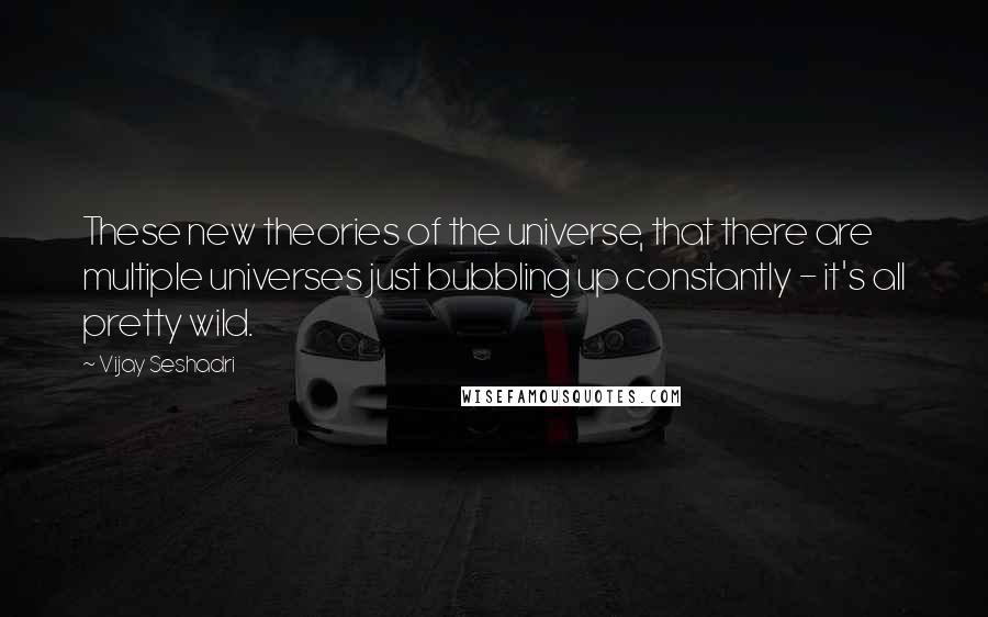 Vijay Seshadri Quotes: These new theories of the universe, that there are multiple universes just bubbling up constantly - it's all pretty wild.