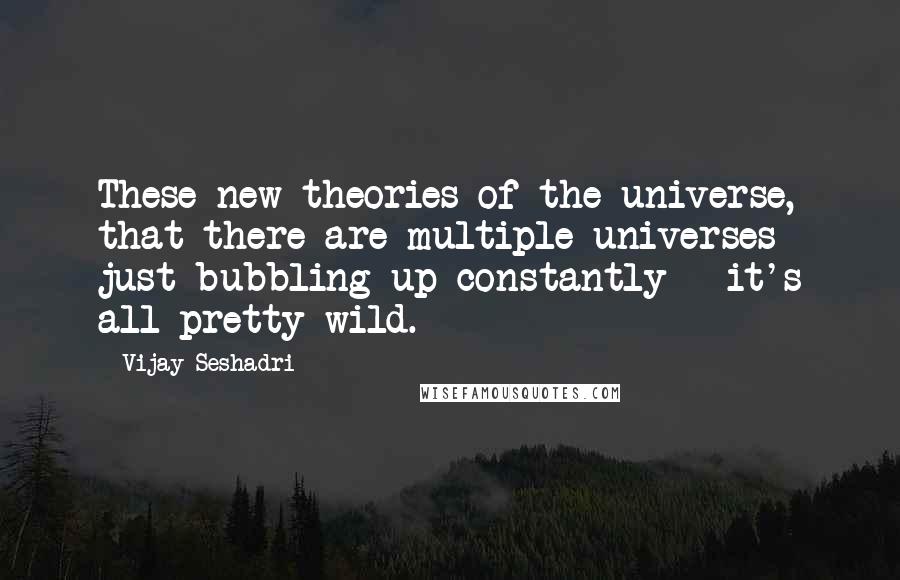 Vijay Seshadri Quotes: These new theories of the universe, that there are multiple universes just bubbling up constantly - it's all pretty wild.