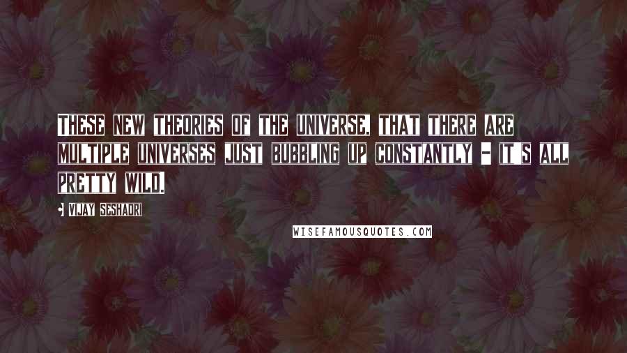 Vijay Seshadri Quotes: These new theories of the universe, that there are multiple universes just bubbling up constantly - it's all pretty wild.