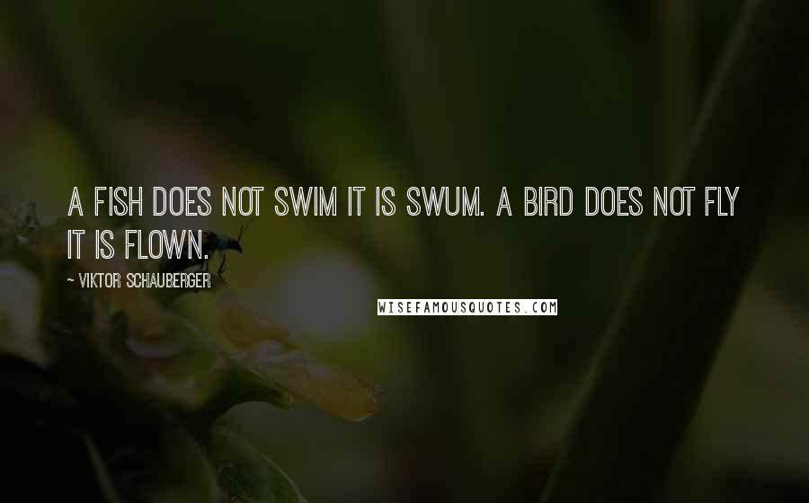 Viktor Schauberger Quotes: A fish does not swim it is SWUM. A bird does not FLY it is flown.