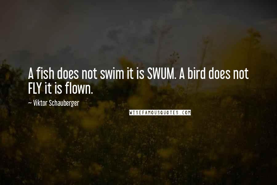 Viktor Schauberger Quotes: A fish does not swim it is SWUM. A bird does not FLY it is flown.
