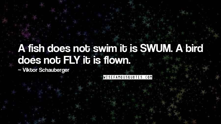 Viktor Schauberger Quotes: A fish does not swim it is SWUM. A bird does not FLY it is flown.