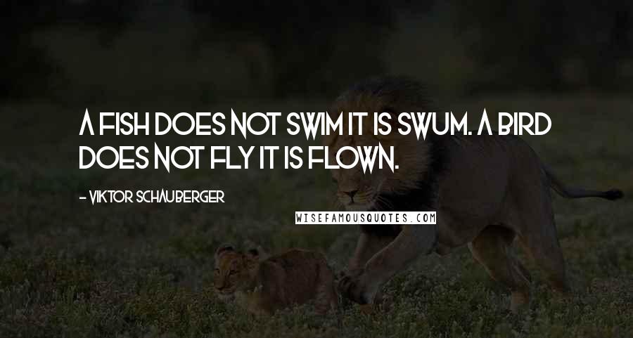 Viktor Schauberger Quotes: A fish does not swim it is SWUM. A bird does not FLY it is flown.