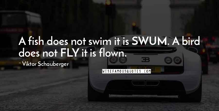 Viktor Schauberger Quotes: A fish does not swim it is SWUM. A bird does not FLY it is flown.