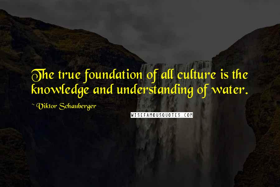 Viktor Schauberger Quotes: The true foundation of all culture is the knowledge and understanding of water.