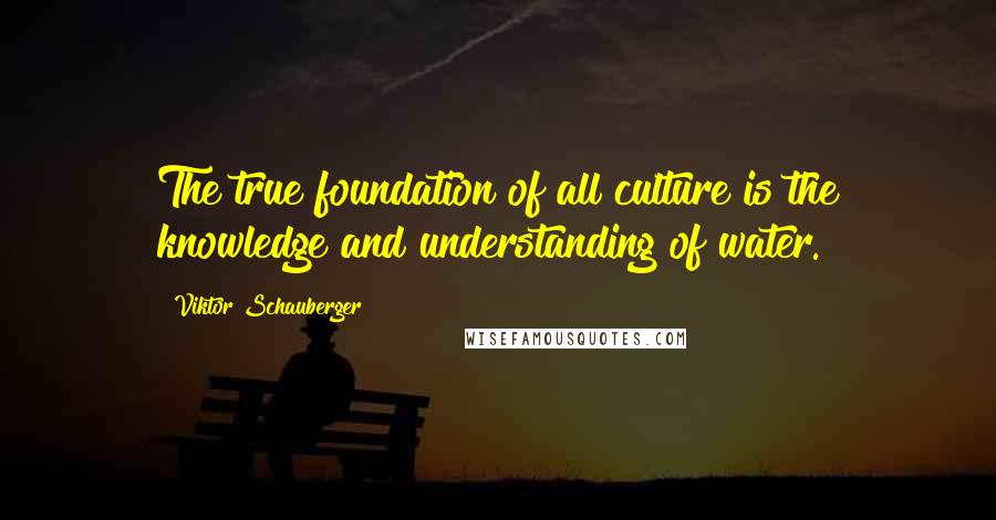 Viktor Schauberger Quotes: The true foundation of all culture is the knowledge and understanding of water.