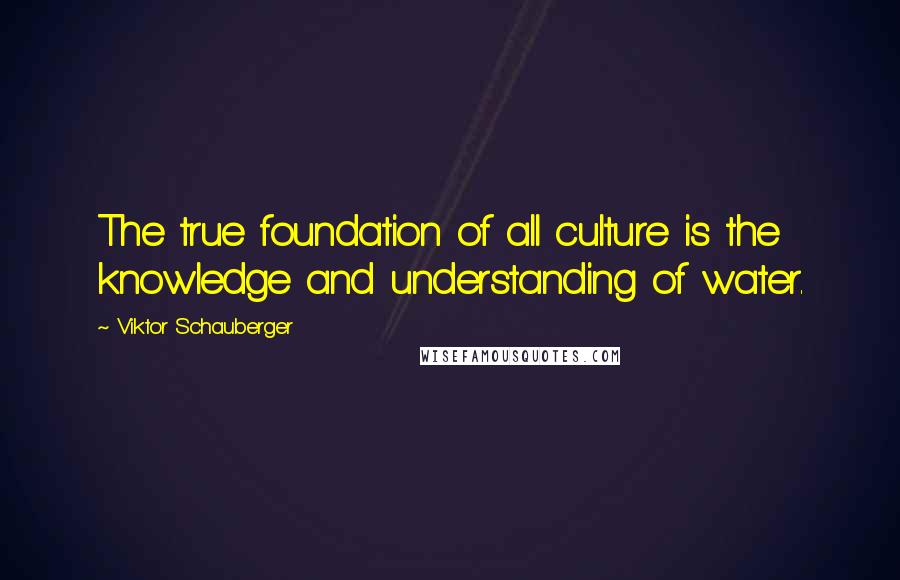 Viktor Schauberger Quotes: The true foundation of all culture is the knowledge and understanding of water.