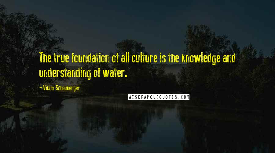 Viktor Schauberger Quotes: The true foundation of all culture is the knowledge and understanding of water.