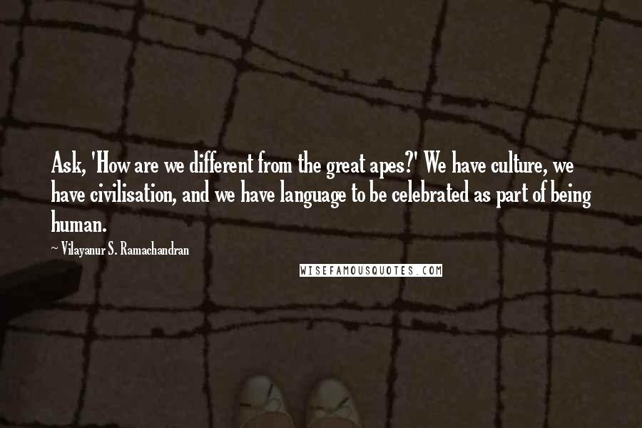 Vilayanur S. Ramachandran Quotes: Ask, 'How are we different from the great apes?' We have culture, we have civilisation, and we have language to be celebrated as part of being human.