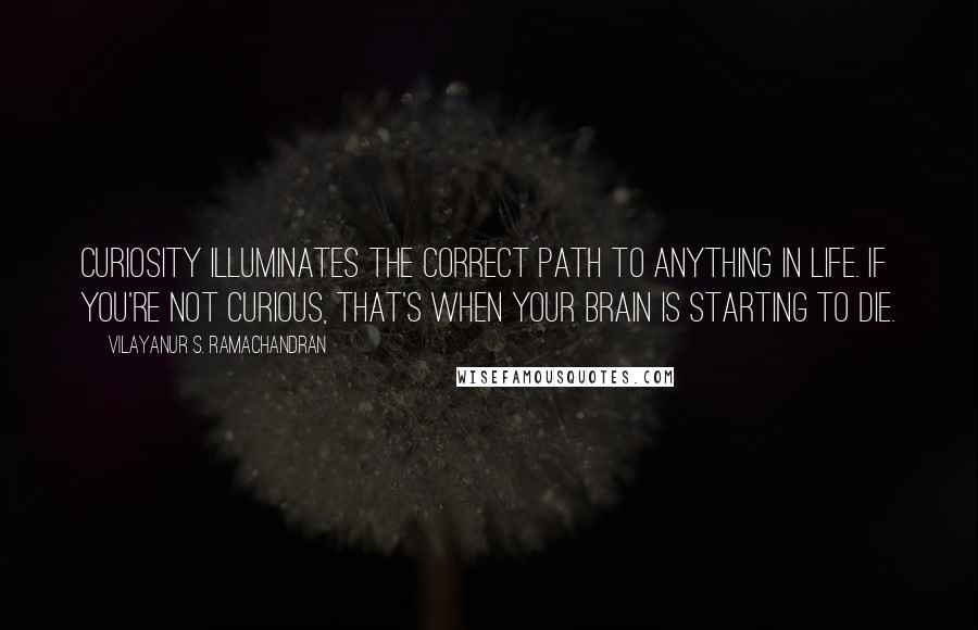 Vilayanur S. Ramachandran Quotes: Curiosity illuminates the correct path to anything in life. If you're not curious, that's when your brain is starting to die.