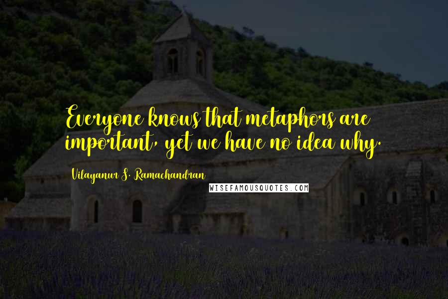 Vilayanur S. Ramachandran Quotes: Everyone knows that metaphors are important, yet we have no idea why.