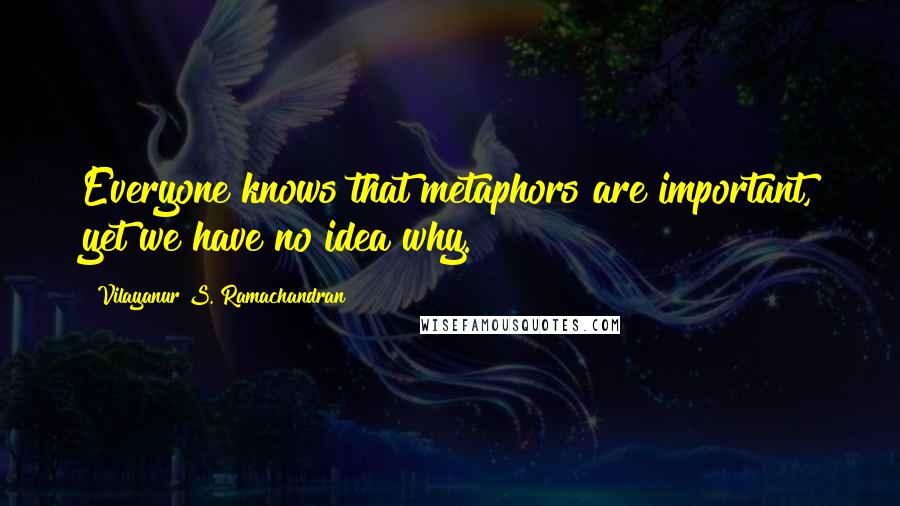 Vilayanur S. Ramachandran Quotes: Everyone knows that metaphors are important, yet we have no idea why.