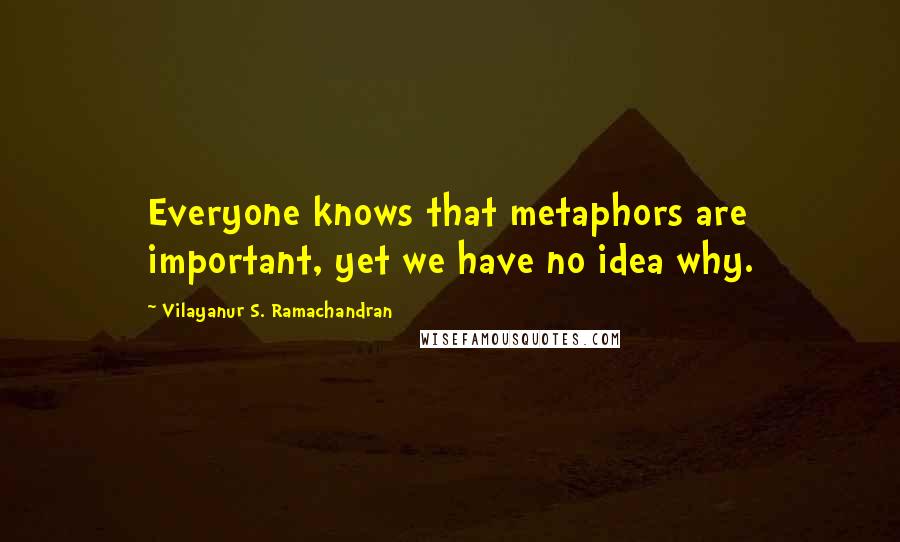 Vilayanur S. Ramachandran Quotes: Everyone knows that metaphors are important, yet we have no idea why.