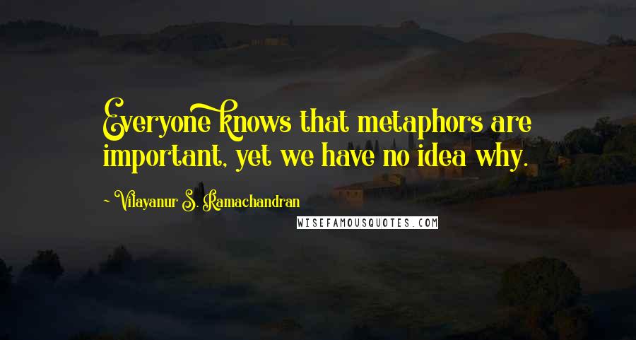Vilayanur S. Ramachandran Quotes: Everyone knows that metaphors are important, yet we have no idea why.