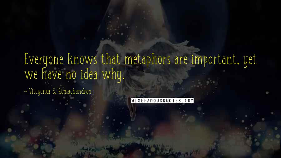 Vilayanur S. Ramachandran Quotes: Everyone knows that metaphors are important, yet we have no idea why.