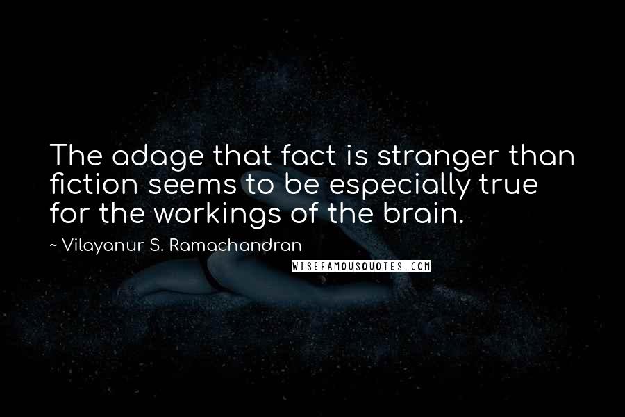 Vilayanur S. Ramachandran Quotes: The adage that fact is stranger than fiction seems to be especially true for the workings of the brain.
