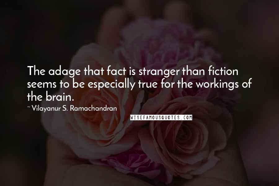 Vilayanur S. Ramachandran Quotes: The adage that fact is stranger than fiction seems to be especially true for the workings of the brain.