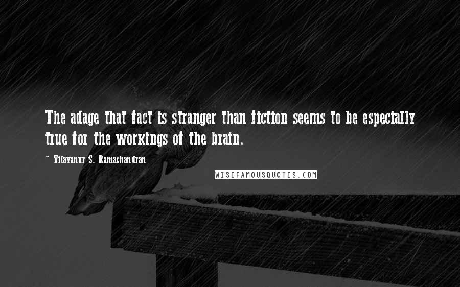 Vilayanur S. Ramachandran Quotes: The adage that fact is stranger than fiction seems to be especially true for the workings of the brain.