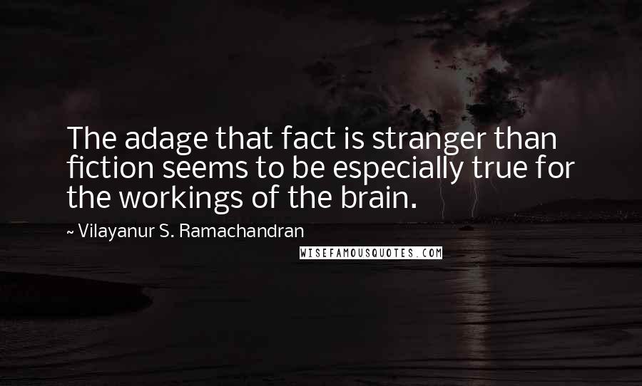 Vilayanur S. Ramachandran Quotes: The adage that fact is stranger than fiction seems to be especially true for the workings of the brain.