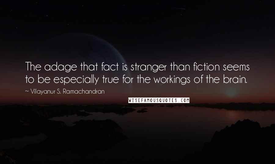 Vilayanur S. Ramachandran Quotes: The adage that fact is stranger than fiction seems to be especially true for the workings of the brain.