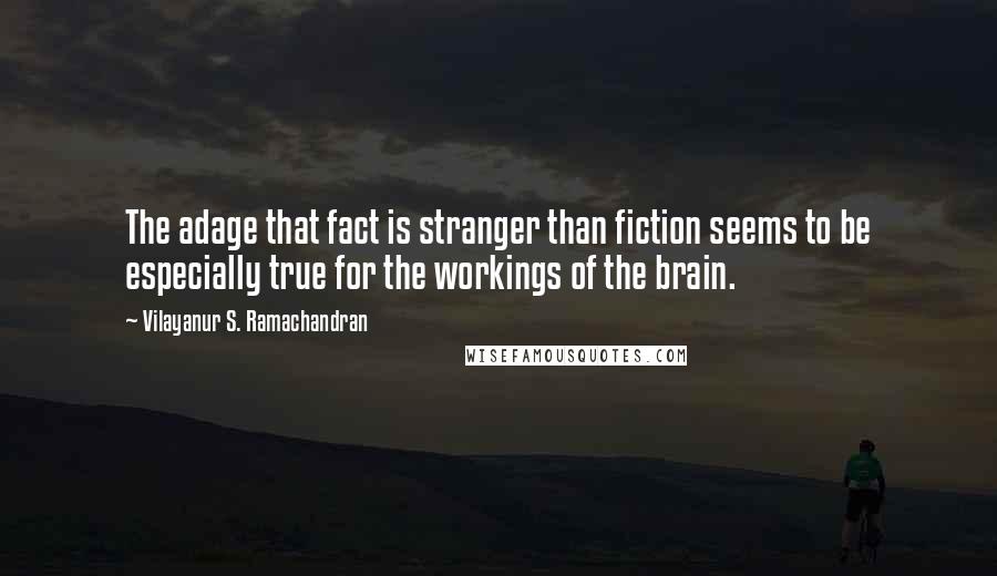 Vilayanur S. Ramachandran Quotes: The adage that fact is stranger than fiction seems to be especially true for the workings of the brain.