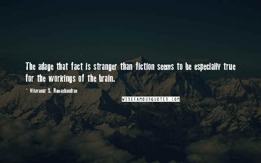 Vilayanur S. Ramachandran Quotes: The adage that fact is stranger than fiction seems to be especially true for the workings of the brain.