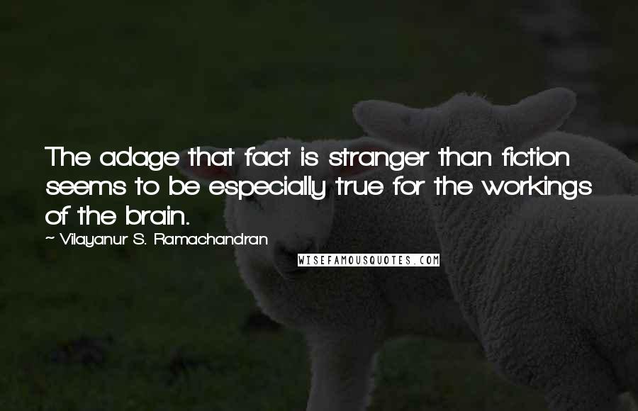 Vilayanur S. Ramachandran Quotes: The adage that fact is stranger than fiction seems to be especially true for the workings of the brain.