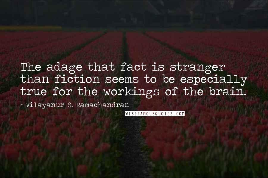 Vilayanur S. Ramachandran Quotes: The adage that fact is stranger than fiction seems to be especially true for the workings of the brain.