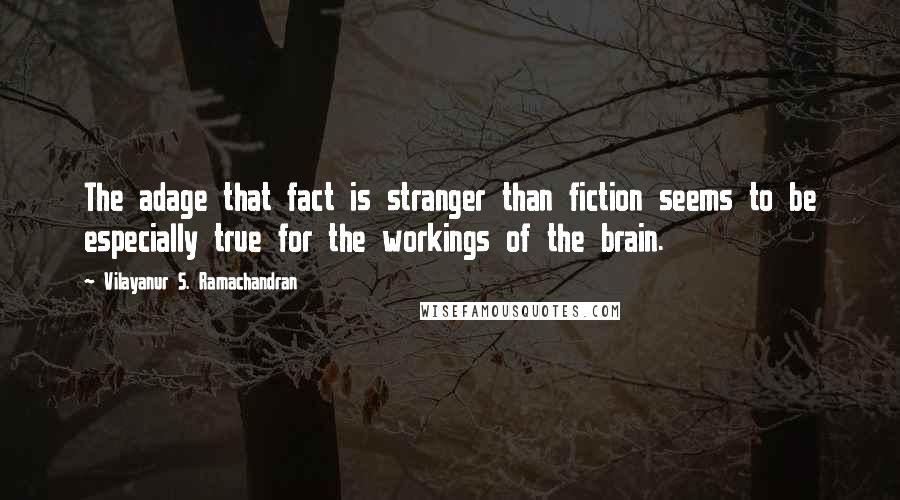 Vilayanur S. Ramachandran Quotes: The adage that fact is stranger than fiction seems to be especially true for the workings of the brain.
