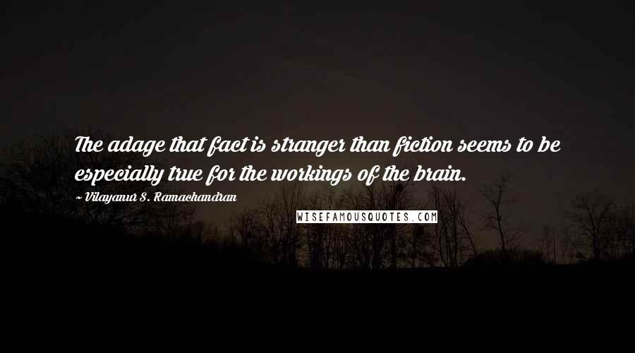 Vilayanur S. Ramachandran Quotes: The adage that fact is stranger than fiction seems to be especially true for the workings of the brain.