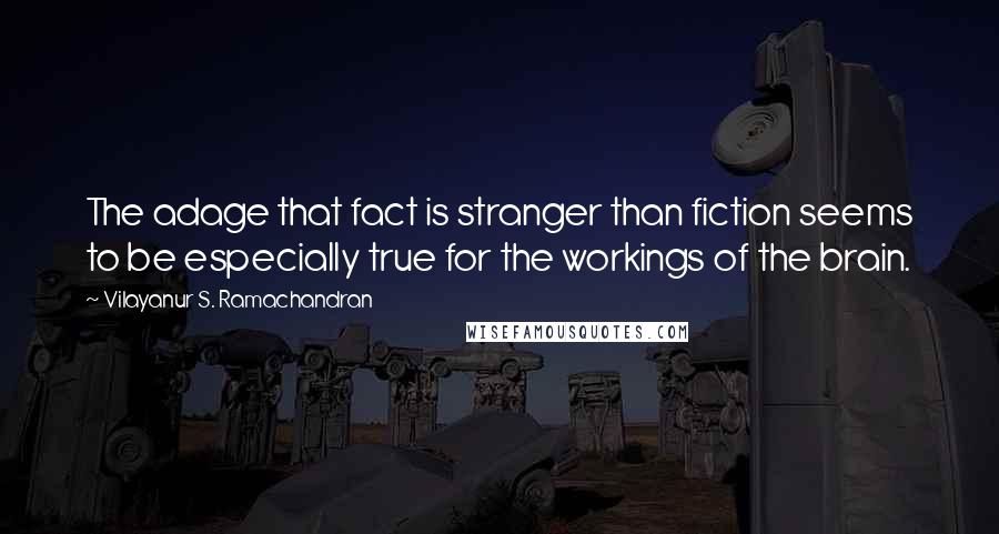 Vilayanur S. Ramachandran Quotes: The adage that fact is stranger than fiction seems to be especially true for the workings of the brain.