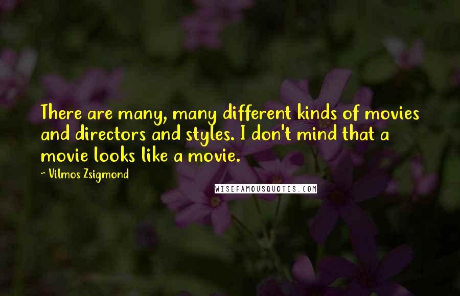 Vilmos Zsigmond Quotes: There are many, many different kinds of movies and directors and styles. I don't mind that a movie looks like a movie.