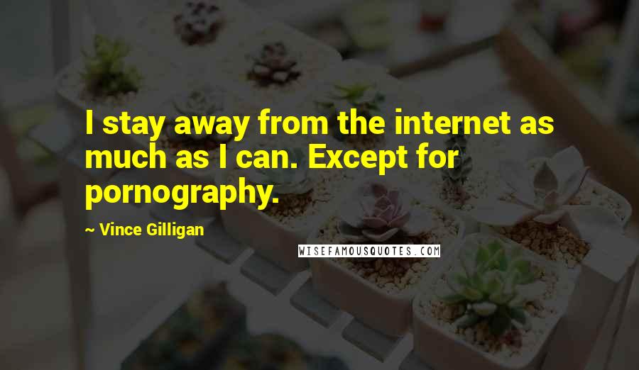 Vince Gilligan Quotes: I stay away from the internet as much as I can. Except for pornography.