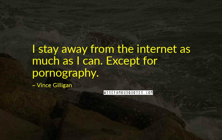 Vince Gilligan Quotes: I stay away from the internet as much as I can. Except for pornography.