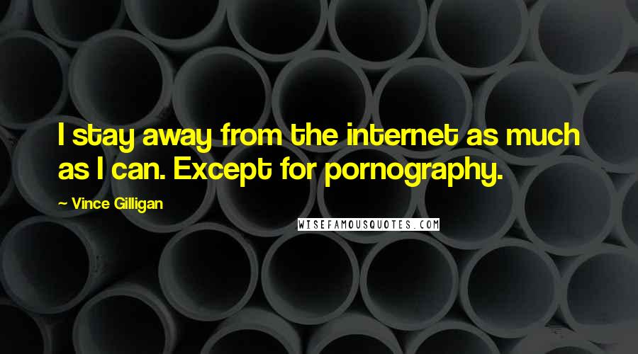 Vince Gilligan Quotes: I stay away from the internet as much as I can. Except for pornography.