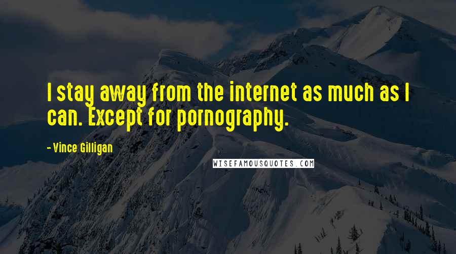 Vince Gilligan Quotes: I stay away from the internet as much as I can. Except for pornography.