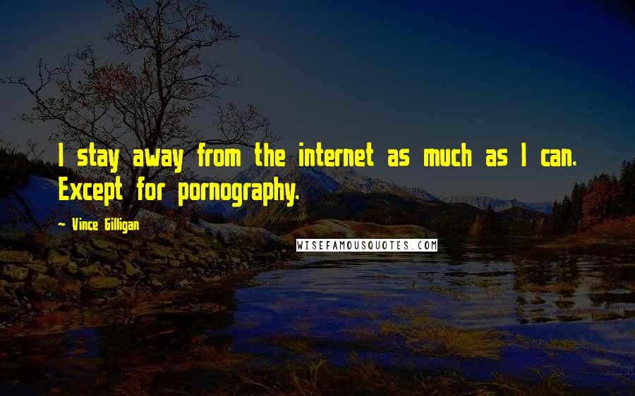 Vince Gilligan Quotes: I stay away from the internet as much as I can. Except for pornography.