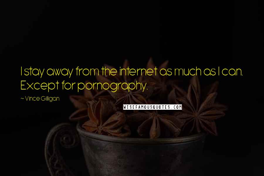 Vince Gilligan Quotes: I stay away from the internet as much as I can. Except for pornography.