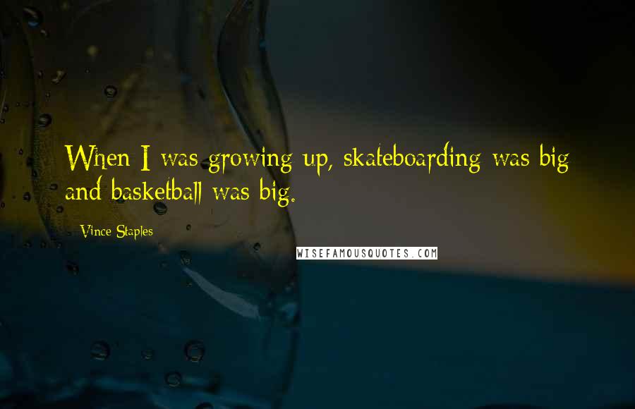 Vince Staples Quotes: When I was growing up, skateboarding was big and basketball was big.