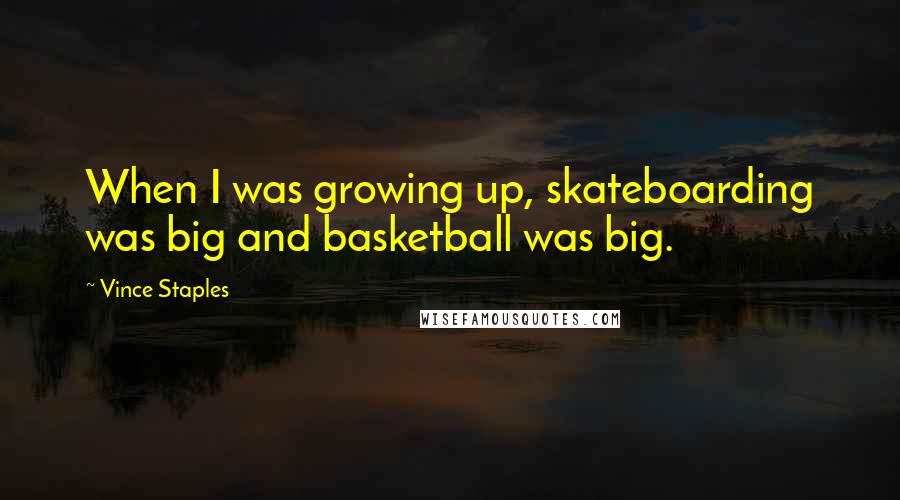 Vince Staples Quotes: When I was growing up, skateboarding was big and basketball was big.
