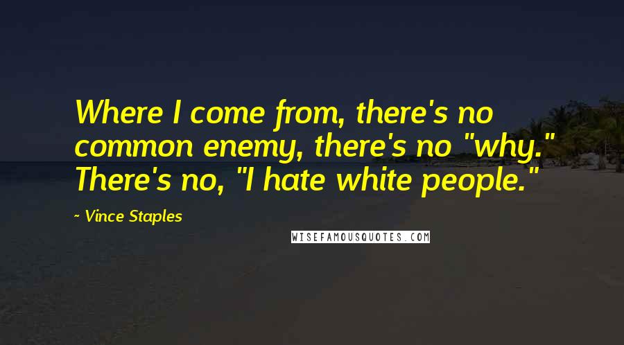 Vince Staples Quotes: Where I come from, there's no common enemy, there's no "why." There's no, "I hate white people."