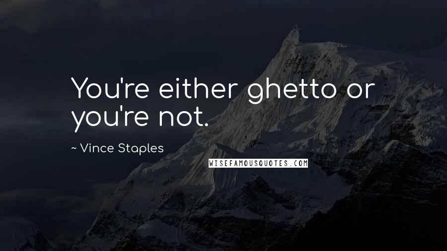 Vince Staples Quotes: You're either ghetto or you're not.