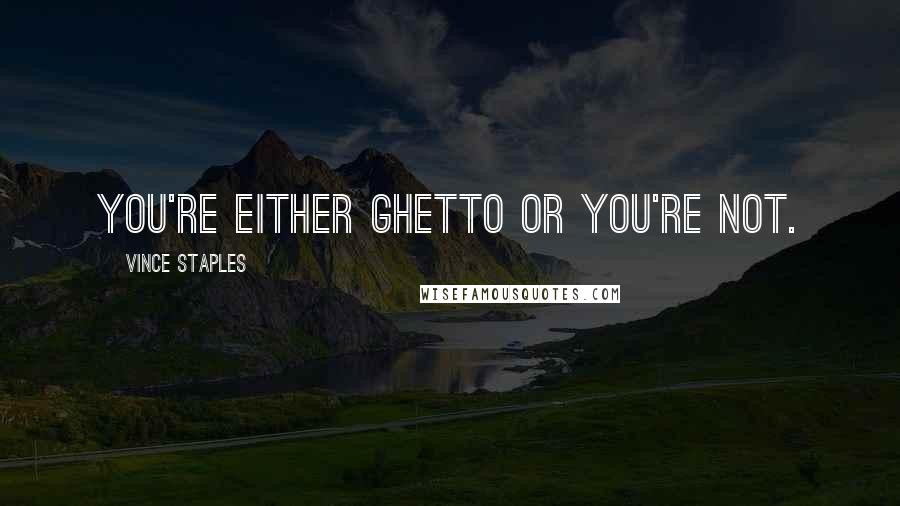 Vince Staples Quotes: You're either ghetto or you're not.