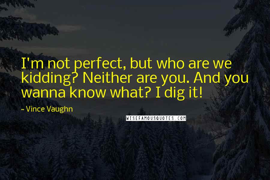 Vince Vaughn Quotes: I'm not perfect, but who are we kidding? Neither are you. And you wanna know what? I dig it!