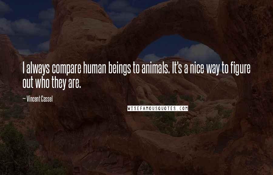 Vincent Cassel Quotes: I always compare human beings to animals. It's a nice way to figure out who they are.