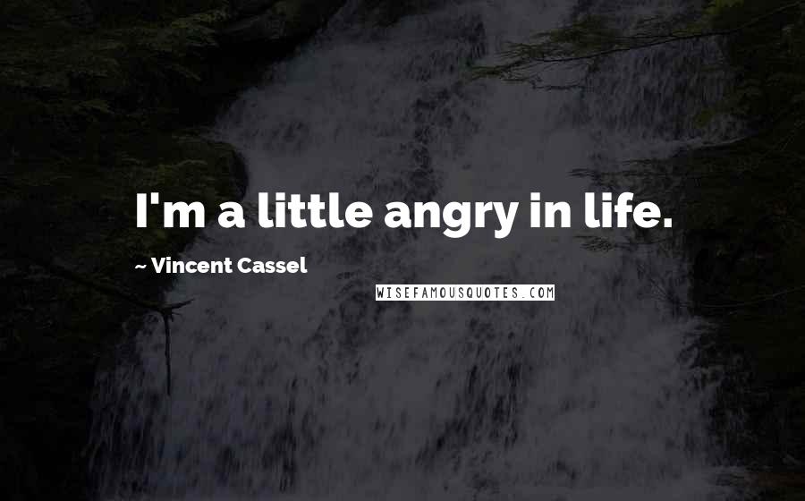 Vincent Cassel Quotes: I'm a little angry in life.