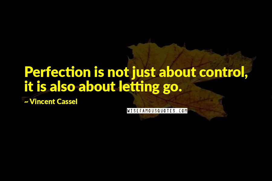 Vincent Cassel Quotes: Perfection is not just about control, it is also about letting go.