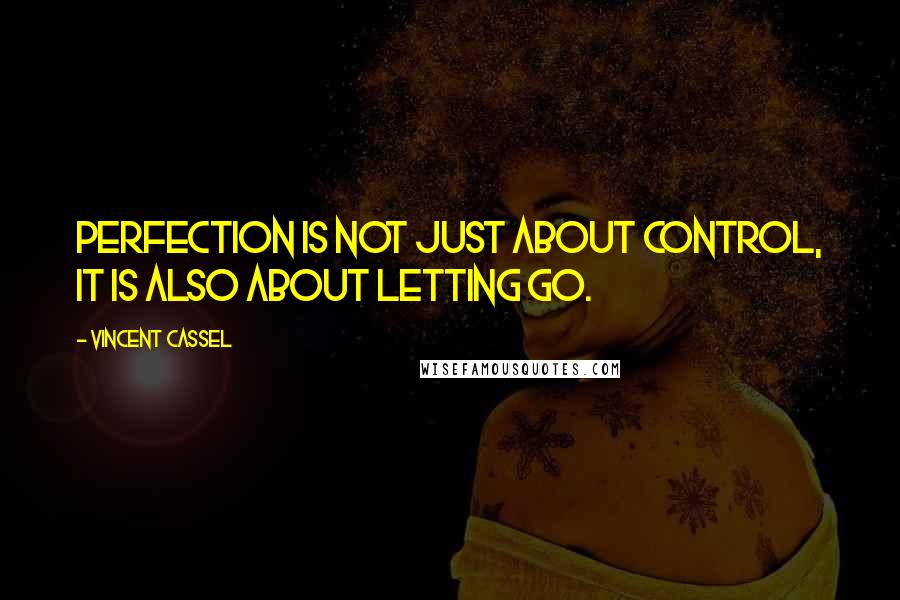 Vincent Cassel Quotes: Perfection is not just about control, it is also about letting go.