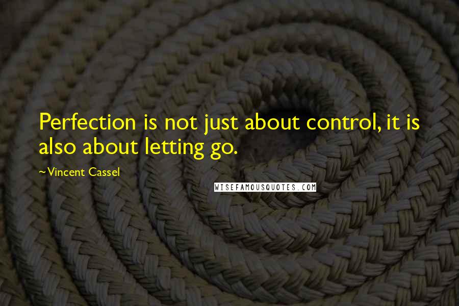 Vincent Cassel Quotes: Perfection is not just about control, it is also about letting go.