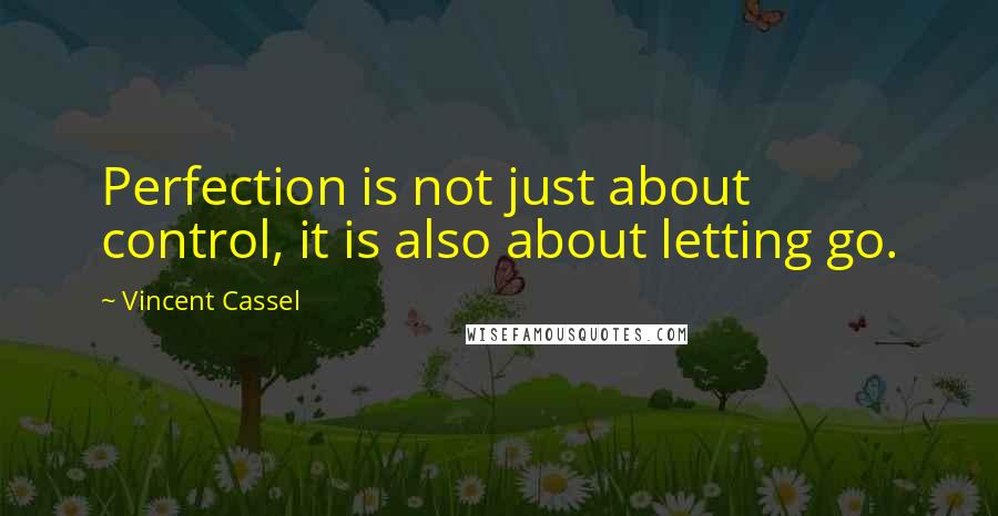 Vincent Cassel Quotes: Perfection is not just about control, it is also about letting go.